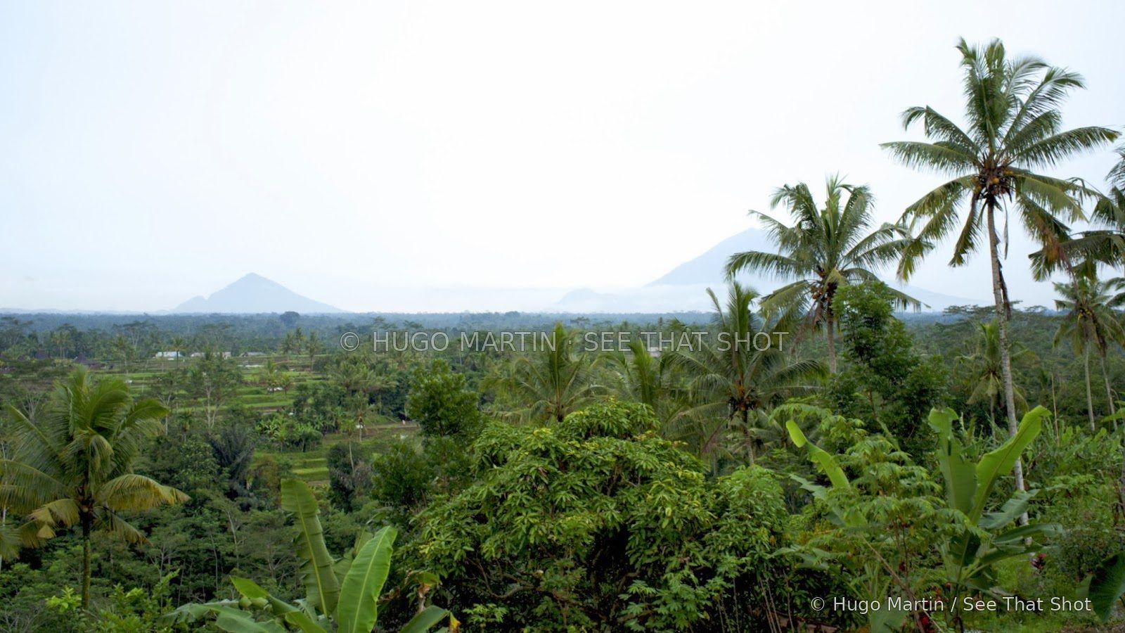 Balinese Christmas — image 3