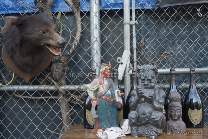 The Bear, The Warrior and The Buddha — image 1