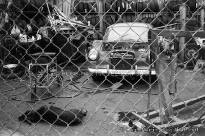First Leica Shot — image 1