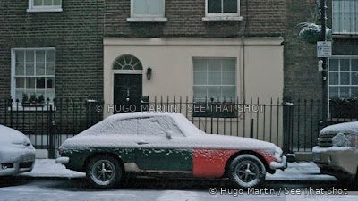 Snowy Wednesday — image 4