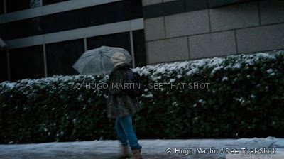 Snowy Wednesday — image 2