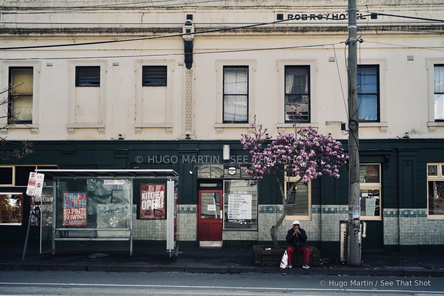A quiet Melbourne frontage beneath tram wires and hanging flowers
